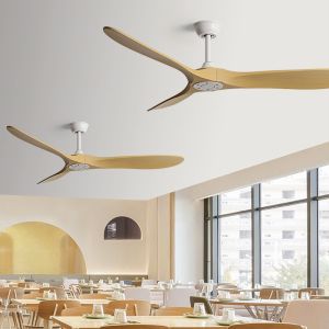 Ceiling Fan พัดลมเพดานใบไม้พลาสติก ABS แบบสวิตช์ผนัง 42/52/60 นิ้ว  มอเตอร์ระบบ DC