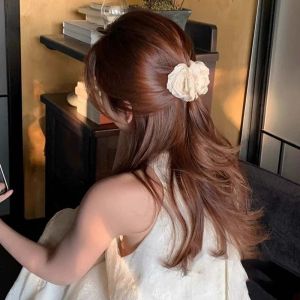 Tooyoo New Chinese Style Rose Hair Clip Vintage High-end Little Fresh Women Hair Claw Clip