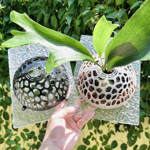 SMVU พลาสติกทำจากพลาสติก ฝาครอบป้องกันดินพืช โปร่งใสโปร่งใส โหลแบบกลวง ลูกบอลแขวนพืชน้ำ ทนทานต่อการใช้งาน ถอดเปลี่ยนได้ ฝาปิดรูลายดอกไม้ สำหรับเฟิร์น Phalaenopsis