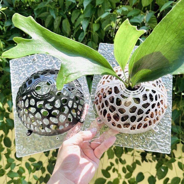 SUTAN Đục Lỗ Vỏ bảo vệ đất cây Có thể thay thế Nhựa Vỏ trồng cây Bền ...