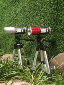 Đèn Soi Phao 4 MÀU 3 CHẾ ĐỘ Câu Đài Ban Đêm Màu Xanh Dịu Nhẹ  Đánh Lừa Thị Giác Của Cá  Giảm Tỉ Lệ Cá Chạy