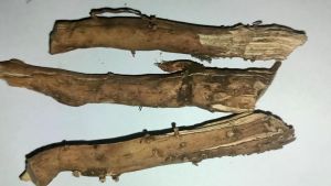 Akar pinang kering akar jambe kering 100 gram