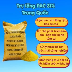 PAC trung quốc 31% PAC Vàng Chất Keo Tụ Xử Lý Nước Hồ Bơi Nước Thải