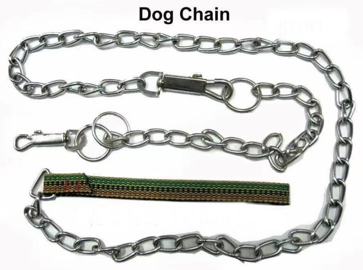 Stainless steel best sale dog chain