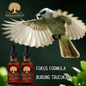 doping burung trucukan konslet  vitamin burung trucukan asli / multivitamin burung trucukan paling ampuh / Obat gacor / ramuan herbal burung kicau qiyara sari