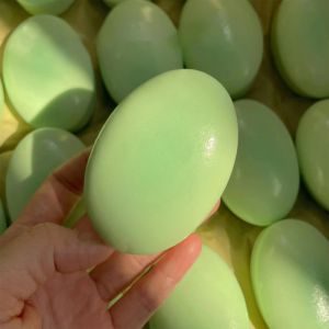 CLOTH Slow Rising Squishy Cheese Toy Simulated Anti-Anxiety Sensory Fidget Cake Children Gift Hand Relax Squishy Bread Kids Adult