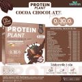โปรตีน แพลนท์ จากพืช ออแกร์นิค 3 ชนิด รสโกโก้ ช็อกโกเล็ต (PROTEIN PLANT COCOA CHOCOLATE) โปรตีนจากข้าว ถั่วลันเตา และมันฝรั่ง จำนวน 1 กล่อง 7 ซอง 350 กรัม. 