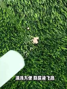 Multipurpose Grass Carpet Cat Carpet Dog Carpet Indoor Carpet Entrance Mat Entrance Grass Carpet Cat Fake Grass Carpet