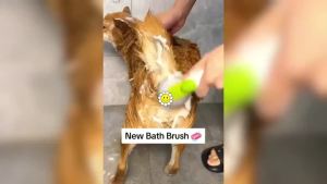 2 in 1  Bath Brush with Shampoo Dispenser Soft Silicone Dog Cat Grooming Massage Tool Soft Bristles Gentle Massage Shower Brush  Supplies