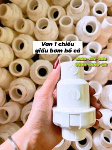 Van 1 Chiều Giấu Bơm Hồ Cá Cho Lọc Tràn Trên