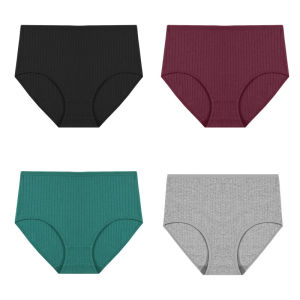 FINETOO Women High-Waist Seamless Panties Tummy Control Antibacterial Traceless Underwear full Coverage Brief | 4-Pack