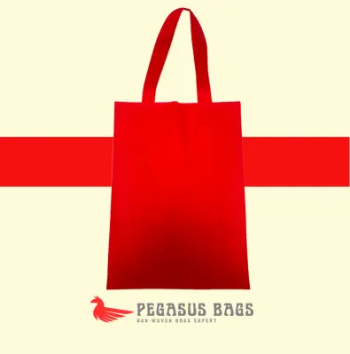 [10pcs] CHEAPEST NON WOVEN BAG IN LAZADA / A4 SIZE (NO BASE) / 25x35x8 / READY TO SHIP / ECOBAG / GOODIE BAG