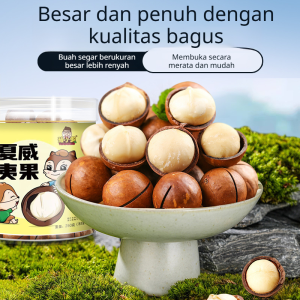 Kacang Macadamia Rasa Susu Ukuran Besar Camilan Kacang Macadamia Kacang Renyah Rasa Susu Camilan Sehat dan Lezat Aroma Susu yang Harum Lezat dan Menggugah Selera