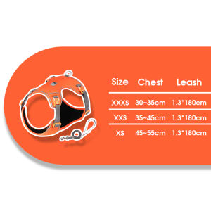 TRUELOVE Fashion Dog Harness And Leash Set Adjustable Comfort Puppy Pet Chest Strap Reflective Durable Lead Rope For Dogs Outdoor Walking