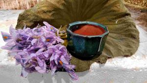 Chậu Bát Tràng bonsai mini béo men xanh hoả biến