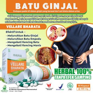 Obat Herbal Batu Ginjal Batu Empedu Kencing Manis Dan Kencing Batu Vellare Bharata