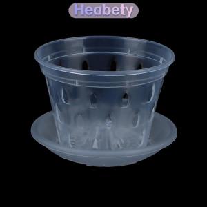Heabety 1 cái chậu hoa chậu trồng cây trong vườn chậu thoát nước có lỗ trong suốt giỏ hoa phong lan nhựa thoáng khí phụ kiện chậu hoa