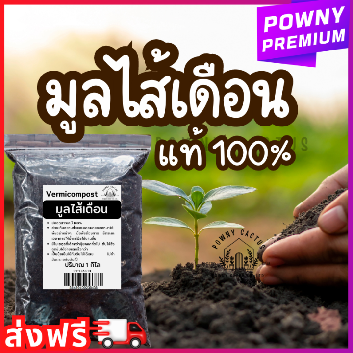 8 สุดยอดปุ๋ยมูลไส้เดือนและดินปลูกสำหรับสวนสวยในปี 2025