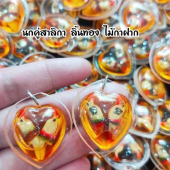 รูปจากผู้ขายบน Lazada: จี้สาลิกาลิ้นทอง นกคู่ ไม้กาฝาก แช่น้ำมัน ขอบพลาสติก ตั้งราคา ฿69