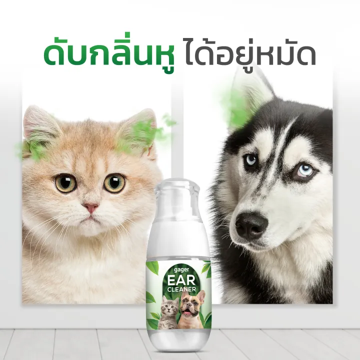 Gager น้ำยาเช็ดหู 50ml พร้อมรับประกัน