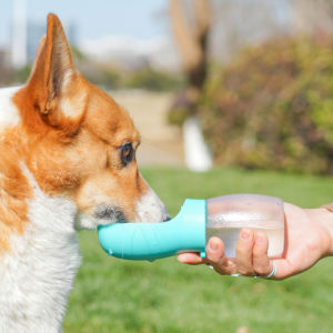 Portable Travel Water Bottle for Pets Suitable for Outdoor Use Ideal for Dogs Cats And Especially for Teddy Breeds Without Battery