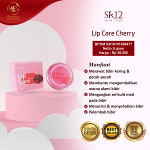 LIP CARE SR12 BEST SELLER LIP BALM MELEMBABKAN MENCERAHKAN BIBIR KERING WARNA HITAM CEWEK COWOK