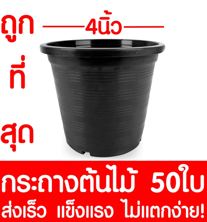 กระถางพลาสติกสีดำขนาด 4 นิ้ว แพ็ค 50 ใบ สำหรับจัดสวน