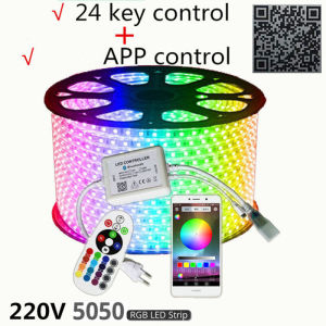 Home Taste 220V Bluetooth LED Strip Light  RGB SMD 5050 Tape Phone APP and Remote Control Waterproof flexible lights Outdoor Room Christmas Decoration lamp With EU plug