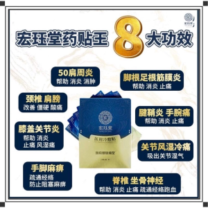 宏珏堂医用冷敷贴—HONG JUE TANG（1盒10片）解决你所有身体疼痛的问题 颈椎病/ 风湿关节炎/ 肩周炎/ 骨刺/ 腰肌劳损/足部炎