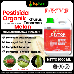 Obat Semprot Hama Daun Melon / Obat Hama Melon / Obat Hama Daun Tanaman Melon / Obat Hama Ulat Di Tanaman Melon / Obat Hama Untuk Tanaman Melon / Obat Pembasmi Hama Daun Melon