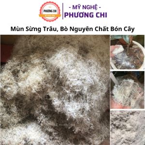 Mùn sừng trâu bò nguyên chất bón cây cảnh cây ăn quả bón rau củ quả và hoa màu | Mỹ Nghệ Phương Chi