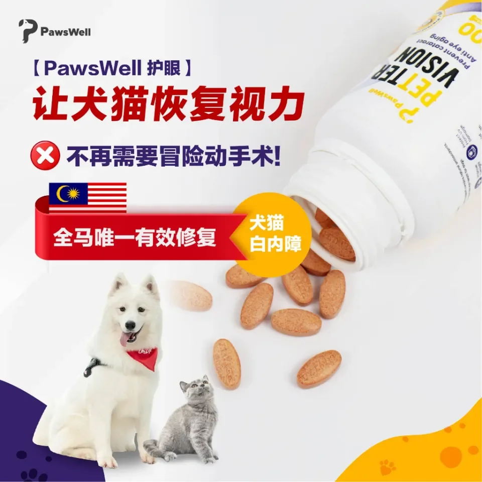 Eye supplements for shop dogs with cataracts