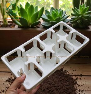 KCN8OV - khay chữ nhật 8 ô vuông dùng chứa chậu từ 6cm - 7cm trồng sen đá xương rồng tiện di dời( không kèm chậu)