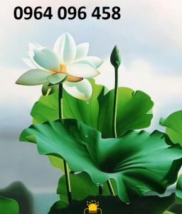 Tranh 3d hoa sen - tranh gạch 3d hoa sen - SXVC83