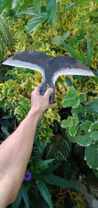 arit rambanan ternak asli baja super sudah diasah