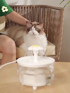 Cat Flower Water Fountain Automatic Filter Circulating Drinking Dispenser