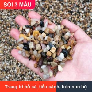Sỏi suối 3 màu trang trí bể cá hồ thủy sinh tiểu cảnh cây cảnh chậu sen đá xương rồng hòn non bộ lọc nước hồ cá 1.2KG