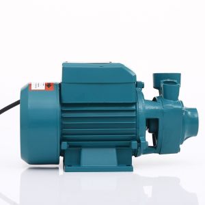 EURORECAR 220V 370W Electric Water Pump Heavy Duty Booster Jet Pump 0.5HP Portable Booster Pump Perip
