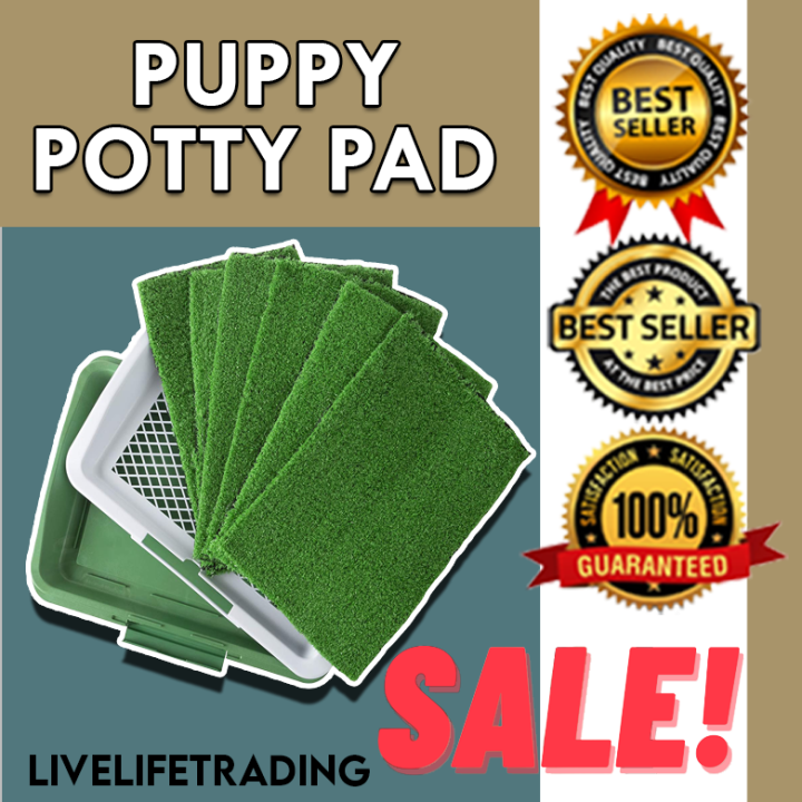 Best Seller POTTY TRAINER FOR PETS Green Pads Potty Pads for Pee