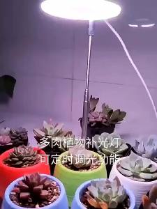 LED Retractable Plant Light Growth Light Angel Ring Succulent Red Blue Light Full Spectrum Flower Timing Plant Fill Light
