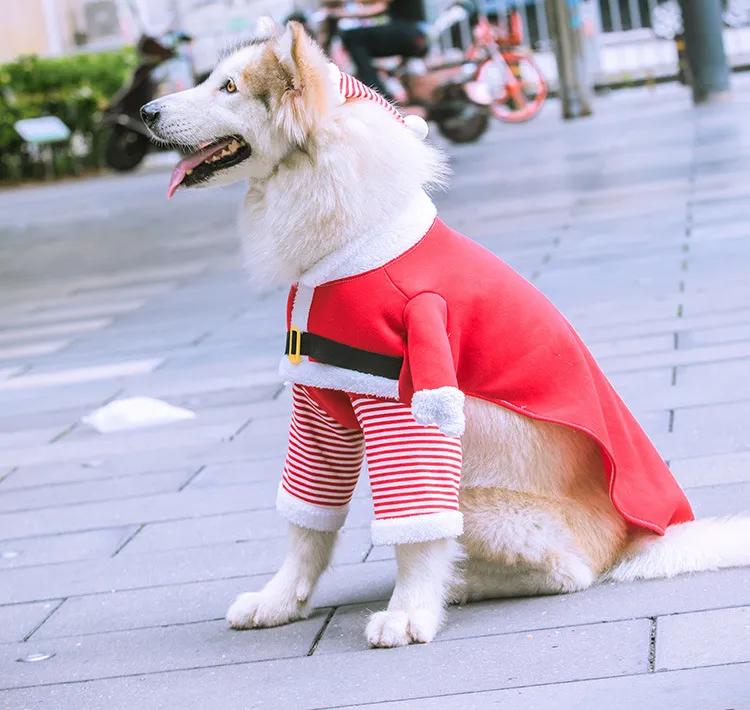 DY Loving Pet Transformed Clothes Funny Dog Christmas Costume Standing Big Dog Labrador Husky Santa Cosplay Suit Cat Coat with Hat for Pets within 45kgs XS 7XL Lazada PH