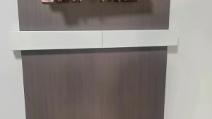 Cross-Border Processing   Indoor Folding Clothes Hanger Wall Hanging Invisible Drying Rack Balcony Clothesline Pole Hidden Towel Rack