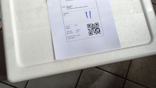 Buyer review video 2