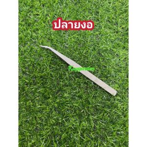ปากคีบ ฟอร์เซป Forceps ปลายตรง ปลายงอ สแตนเลส 15 ซม