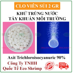 Hộp 250 Viên Clo Viên Sủi Khử Trùng Làm Trong Nước - Xịt Khuẩn Khử Trùng Môi Trường