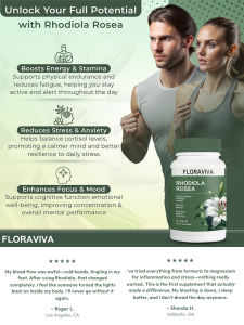 Rhodiola Rosea Capsules Siberian Rhodiola Rosea Extract Supplement Enhance Liver Metabolism Lower Blood Sugar And Resist Fatigue