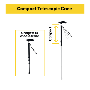 The Cane Collective Sleek Black Walking Canes