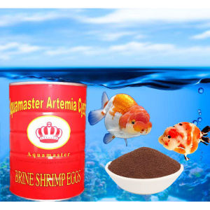 Aquamaster BBS Eggs (Bohai) Premium Baby Brine Shrimp Eggs ( Hatchable )