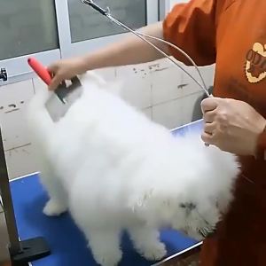 AU Dog grooming clippers pet electric clippers electric hair clippers hair cutting clippers hair trimming clippers