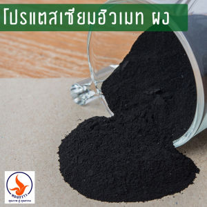 โปรแตสเซียมฮิวเมทผง เกรด A ไม่ติดฉลาก ละลายน้ำได้ สกัดเข้มข้น